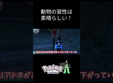 【ポケモンZA】アリアドスの生態観察 #ポケモン #ポケモンza #ポケットモンスター
