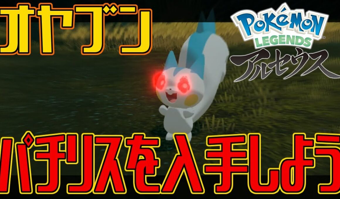 【ポケモンアルセウス】オヤブンのパチリスを入手しよう【Pokémon LEGENDS アルセウス】