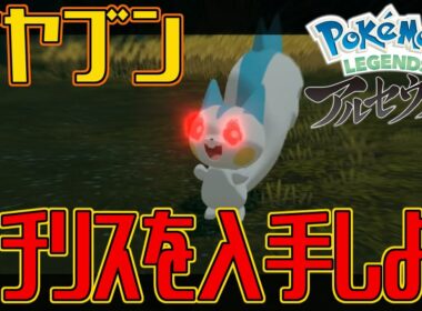 【ポケモンアルセウス】オヤブンのパチリスを入手しよう【Pokémon LEGENDS アルセウス】
