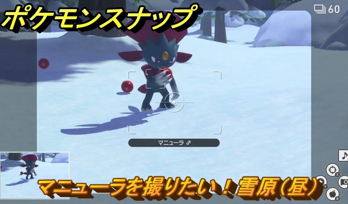 ポケモンスナップ　マニューラを撮りたい！雪原（昼）調査レベル３　＃１０５　【New ポケモンスナップ】