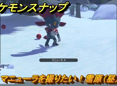 ポケモンスナップ　マニューラを撮りたい！雪原（昼）調査レベル３　＃１０５　【New ポケモンスナップ】