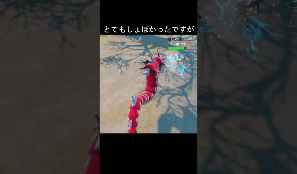 なみのり　比較　#ポケモン #ポケモンza #ポケモンsv