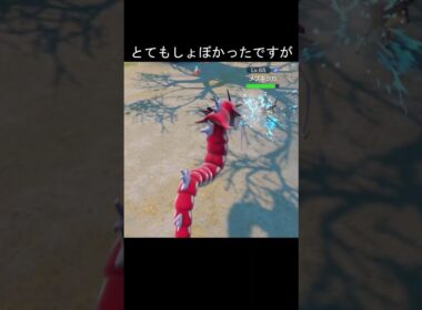 なみのり　比較　#ポケモン #ポケモンza #ポケモンsv