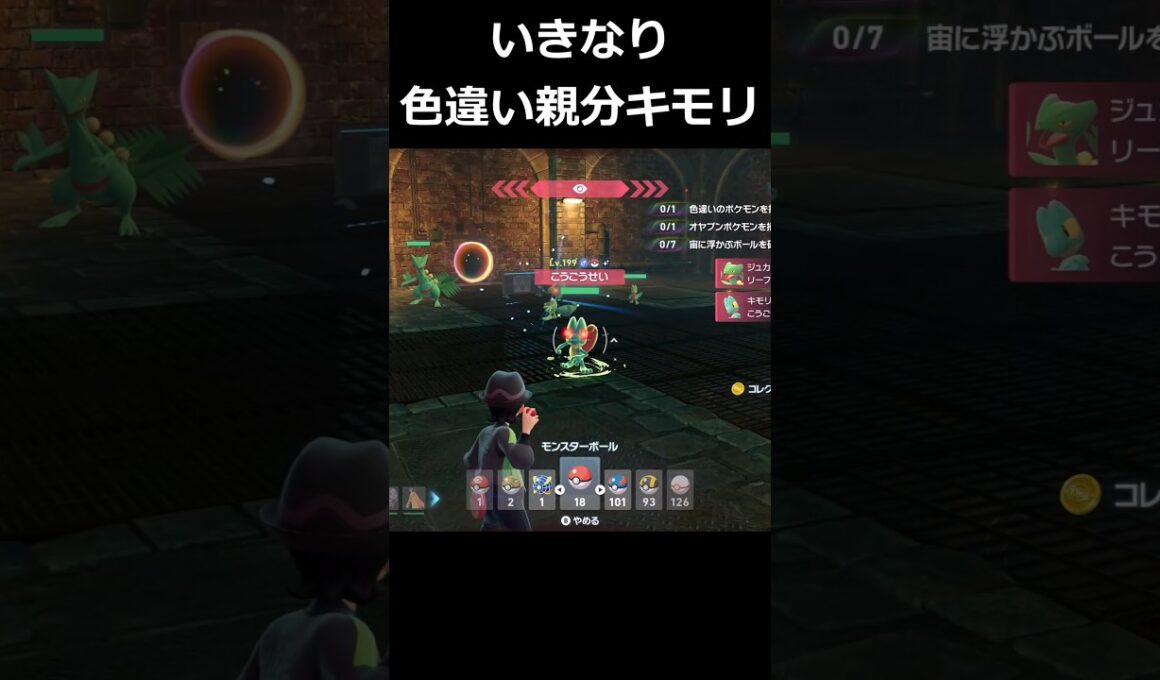 色違い親分キモリ!!いきなり登場! #ポケモンレジェンズZA  #shorts #switch2 #M次元ラッシュ