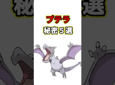 プテラの秘密　ポケモン解説
