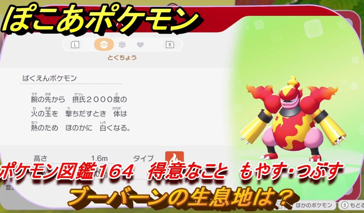 ぽこあポケモン　ブーバーンの生息地は？　ポケモン図鑑１６４　得意なこと　もやす・つぶす　＃９０８　【ぽこポケ】