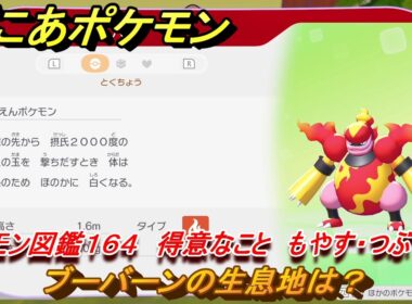 ぽこあポケモン　ブーバーンの生息地は？　ポケモン図鑑１６４　得意なこと　もやす・つぶす　＃９０８　【ぽこポケ】