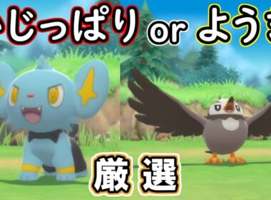 【ポケモンダイパリメイク】コリンクとムックルを厳選するぞ！！【ポケットモンスターシャイニングパール実況】Part2