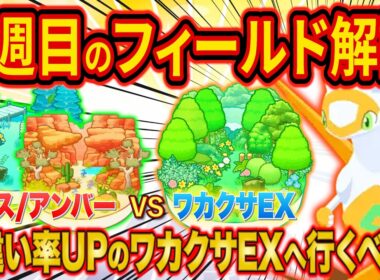 【ポケスリ】ラティアスイベント2週目フィールド選びをポケスリガチ勢が徹底解説！色違い率UPのワカクサ本島EXへ行く基準は？【ポケモンスリープ/Pokémon Sleep/ラティアスリサーチ】
