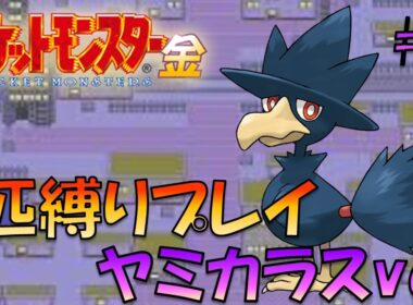【ポケモンクリスタル】ポケモン1匹縛りプレイ!!ヤミカラスきみに決めた！part2【ゲーム実況】【縛りプレイ】