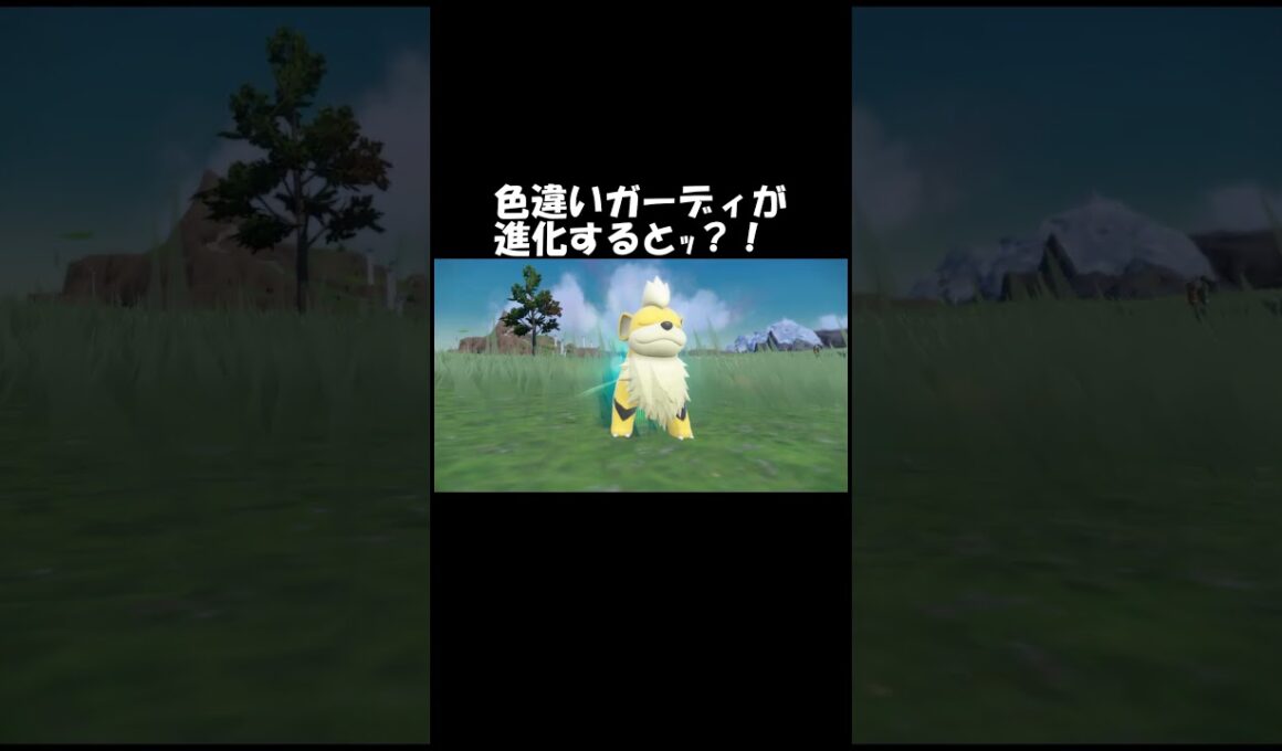 色違いガーディが進化すると何色？！#スカーレット#ポケモン#ポケモンsv #色違い#ゲーム#ゲーム実況#ゲーム配信#参加型#初心者#ゲーマー夫婦#switch