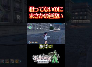 1匹しか湧いてない色違いが出てしまったwwwしかも〇〇　#pokemonlegendsza #色違い厳選 #イーブイ色違い