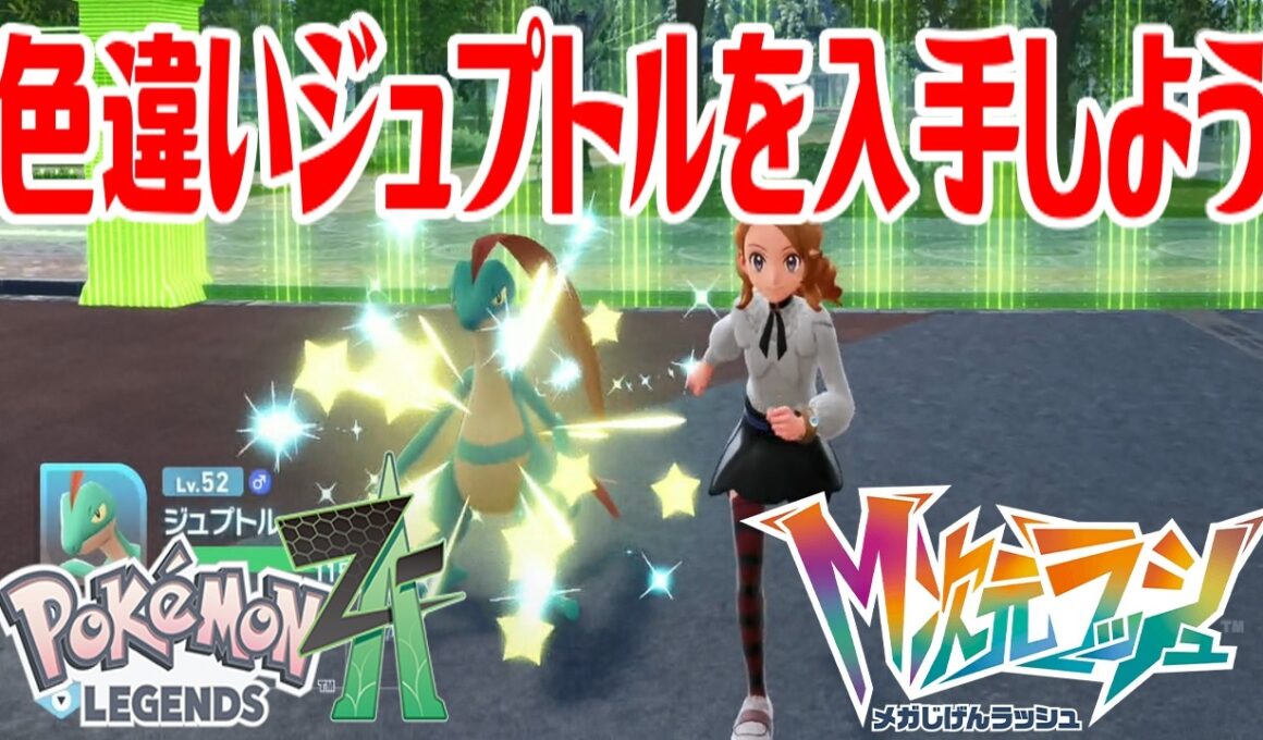 【ポケモンZ-A】色違いジュプトルを入手しよう 進化入手【Pokémon LEGENDS Z-A M次元ラッシュ】