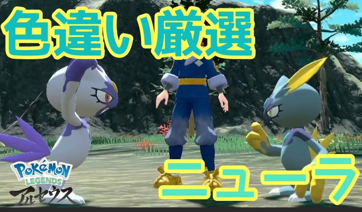 【ポケモンアルセウス】色違い厳選【実況】！！ニューラ！！