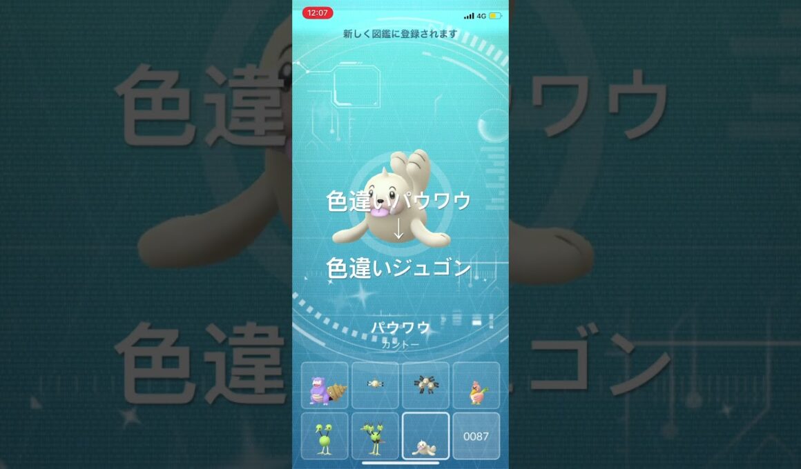 ポケモンGO 色違いパウワウ出現！色違いジュゴンへ進化！ #pokémon #ポケモン #ポケモンgo #pokemongo