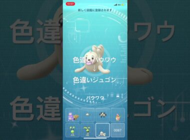 ポケモンGO 色違いパウワウ出現！色違いジュゴンへ進化！ #pokémon #ポケモン #ポケモンgo #pokemongo