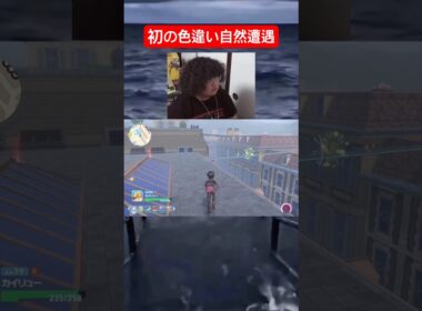 【ポケモンZA】メガピジョット使いたかったのに💢 #ゲーム #ポケモン #pokemon #nintendo #shorts