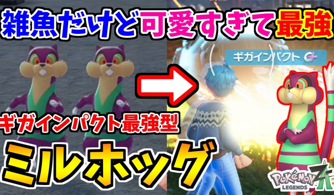 【ポケモンZA】ランクマでミルホッグが覚醒！最強ギガインパクトで暴れまわる姿が可愛すぎた！【Pokémon LEGENDS Z-A】