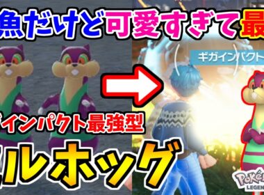 【ポケモンZA】ランクマでミルホッグが覚醒！最強ギガインパクトで暴れまわる姿が可愛すぎた！【Pokémon LEGENDS Z-A】