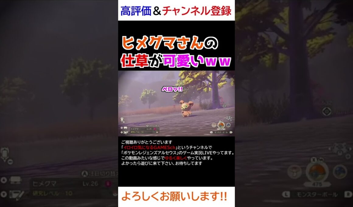 ヒメグマさんのペロペロする仕草が可愛すぎるｗｗｗ【Pokémon LEGENDS アルセウス】