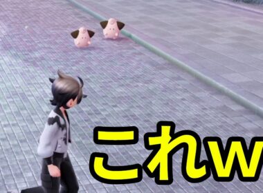 【性格厳選】オス少なくねｗピィ【ポケモン】#kyo実況