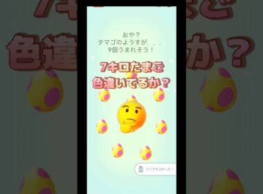 ガラルメガネサニーゴ色違いチャレンジ🫣
