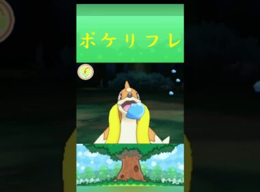 ポケモン フローゼル ポケリフレ ポケパルレ #ポケモン #Pokemon  #3DS #ポケモン技 #ポケモンsv #ポケモン#キャンプ #カレー #サンドイッチ #ピクニック