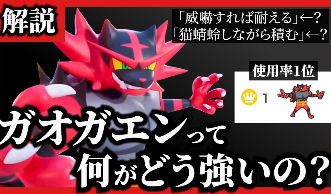 【5分でわかる】 ガオガエンってなんで使用率1位なの？解説します 【ポケモン/ダブルバトル】