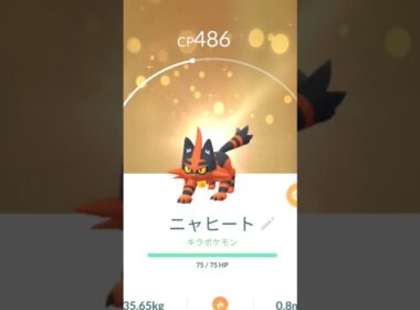 ニャビー進化#ポケモンgo #pokemon #コミュニティデイ