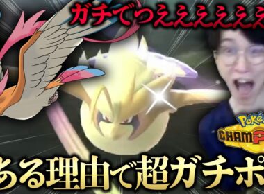 【10年越しに覚醒】今メガピジョットがまさかの噛み合いで超ガチポケになってる件についてwwwwwww【ビエラ ポケモンチャンピオンズ ダブルバトル🐦🦆🦆🦆🦆🦆🦆】