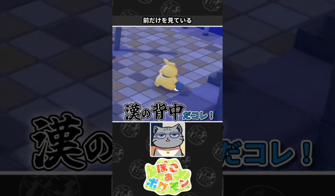 【ぽこ あ ポケモン】マクノシタさんの背中に憧れるネコVtuber