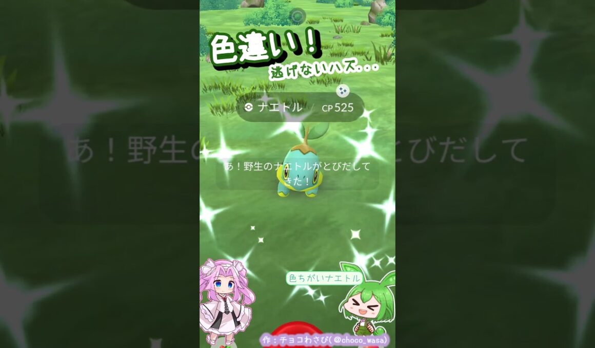 【ポケGO】色違いナエトルGETなのだ！...個体値は💧