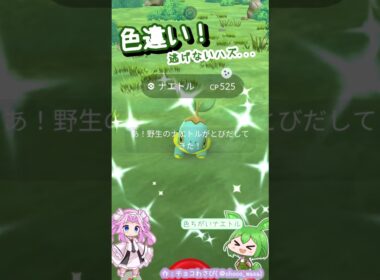 【ポケGO】色違いナエトルGETなのだ！...個体値は💧