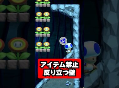 〇〇禁止の反り立つ壁、ファイヤー取ったら即終了なんだけどｗｗｗ【マリオメーカー２】