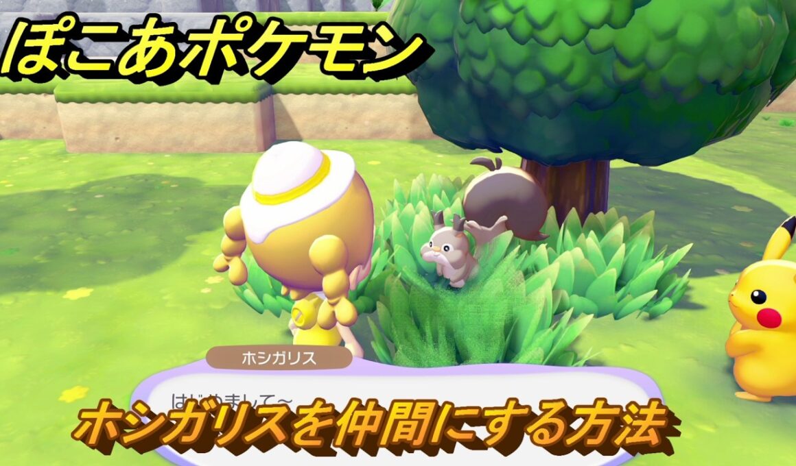 ぽこあポケモン　ホシガリスを仲間にする方法　木かげの草むら（まっさらな街）　＃３８０　【ぽこポケ】