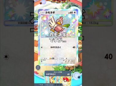 【ポケポケ】カモネギの優遇について【最強デッキ】#shorts #ポケモン #ポケポケ #ポケカ #ランクマ