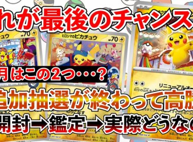 【ポケカ投資】これが最後のチャンスになる・・・！？トウホク・ヒロシマ・フクオカのピカチュウは今後高騰するのか？【ポケカ】【ポケモン】【Pokémon】【ピカチュウ】【ポケモンカード】