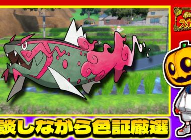 【ポケモンSV】チャンピオンズ用の色証アーマーガアを求めて!! 雑談しながら色証厳選配信!!【色違い厳選】