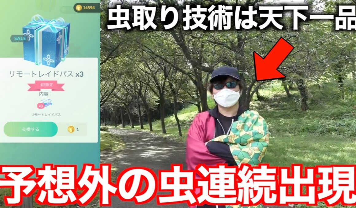 【ポケモンGO】天才虫取り野郎によるメガセプ第２週イベント出現率調査開始！あのポケモン達がいない！？早朝レディバ出現数に恐怖する秋田人