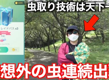 【ポケモンGO】天才虫取り野郎によるメガセプ第２週イベント出現率調査開始！あのポケモン達がいない！？早朝レディバ出現数に恐怖する秋田人