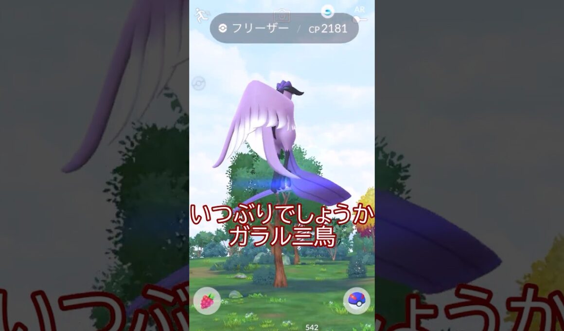 ガラルフリーザー遭遇編🐥✨#ポケモンgo #pokemongo #pokemongoshorts