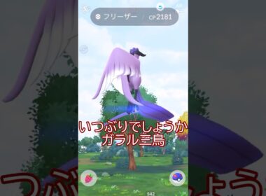 ガラルフリーザー遭遇編🐥✨#ポケモンgo #pokemongo #pokemongoshorts