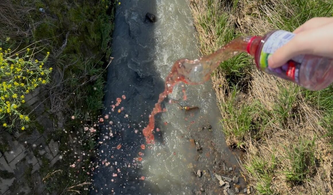 川でイタズラしてみたw