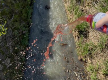 川でイタズラしてみたw