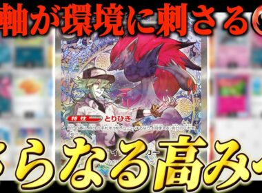 Nのゾロアークさらなる高みへ...【ポケカ対戦】