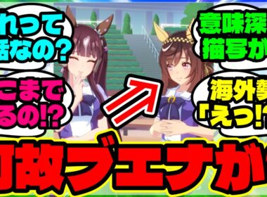『ラッキーライラック育成にブエナビスタが現れた“本当の理由”に海外勢も驚く』まとめ 【ウマ娘 海外の反応】