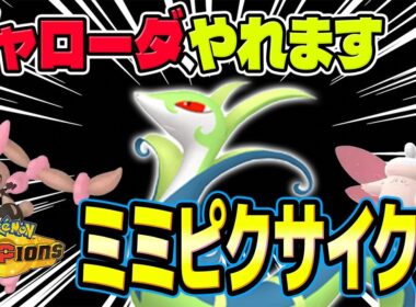 【メガピクシー、メガミミロップ】ジャローダでメガをサポート！メガピクシー＆メガミミロップのサイクル構築を紹介！！【ポケモンチャンピオンズ】