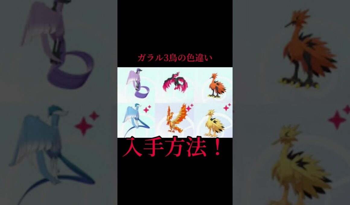 ガラル3鳥の色違いの入手方法とは？？#ポケモン #short #shorts #冠の雪原 ガラル3鳥＃色違い