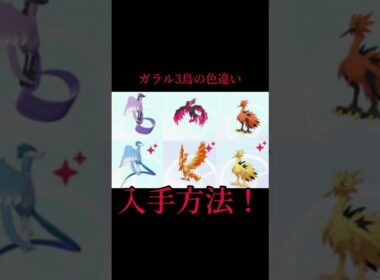 ガラル3鳥の色違いの入手方法とは？？#ポケモン #short #shorts #冠の雪原 ガラル3鳥＃色違い