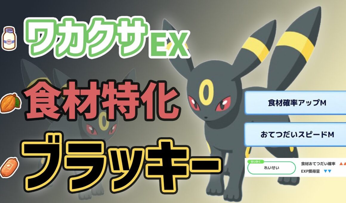 【可能性】ブラッキーに役割を与えたい...ワカクサEXで食材特化！【ポケスリ】